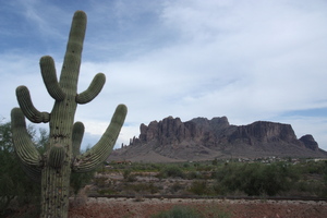 Arizona Vista