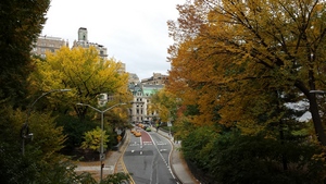 Manhattan, NY in Autumn