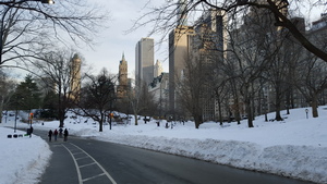 Central Park in the Snow