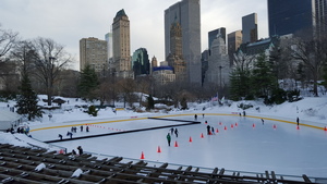 Wolfram Rink in the Snow