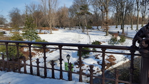 Snowy Central Park in the Sun