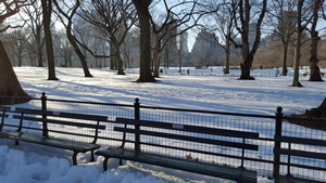 Snowy Central Park in the Sun