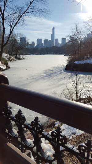 Snowy Central Park in the Sun